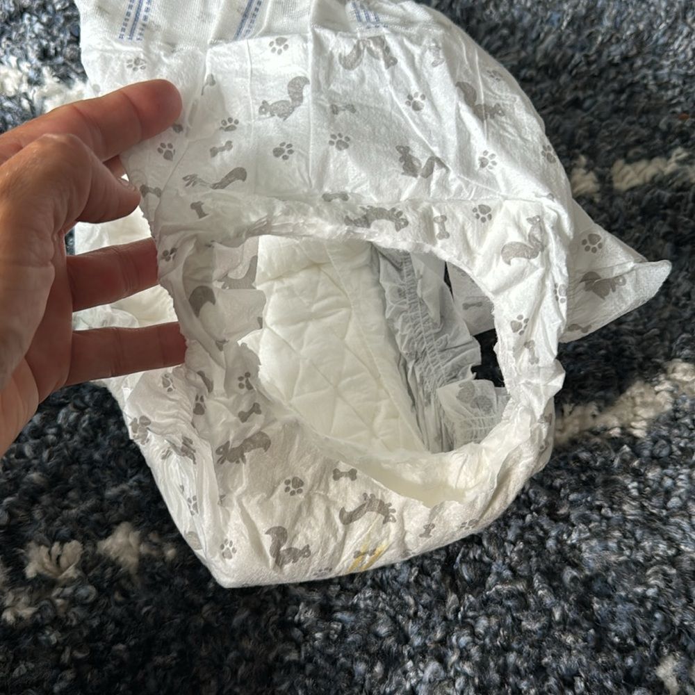 Dog Diapers - Picture 4 of 4